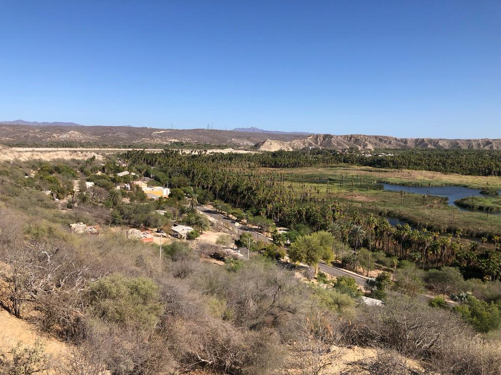 person capturing an image