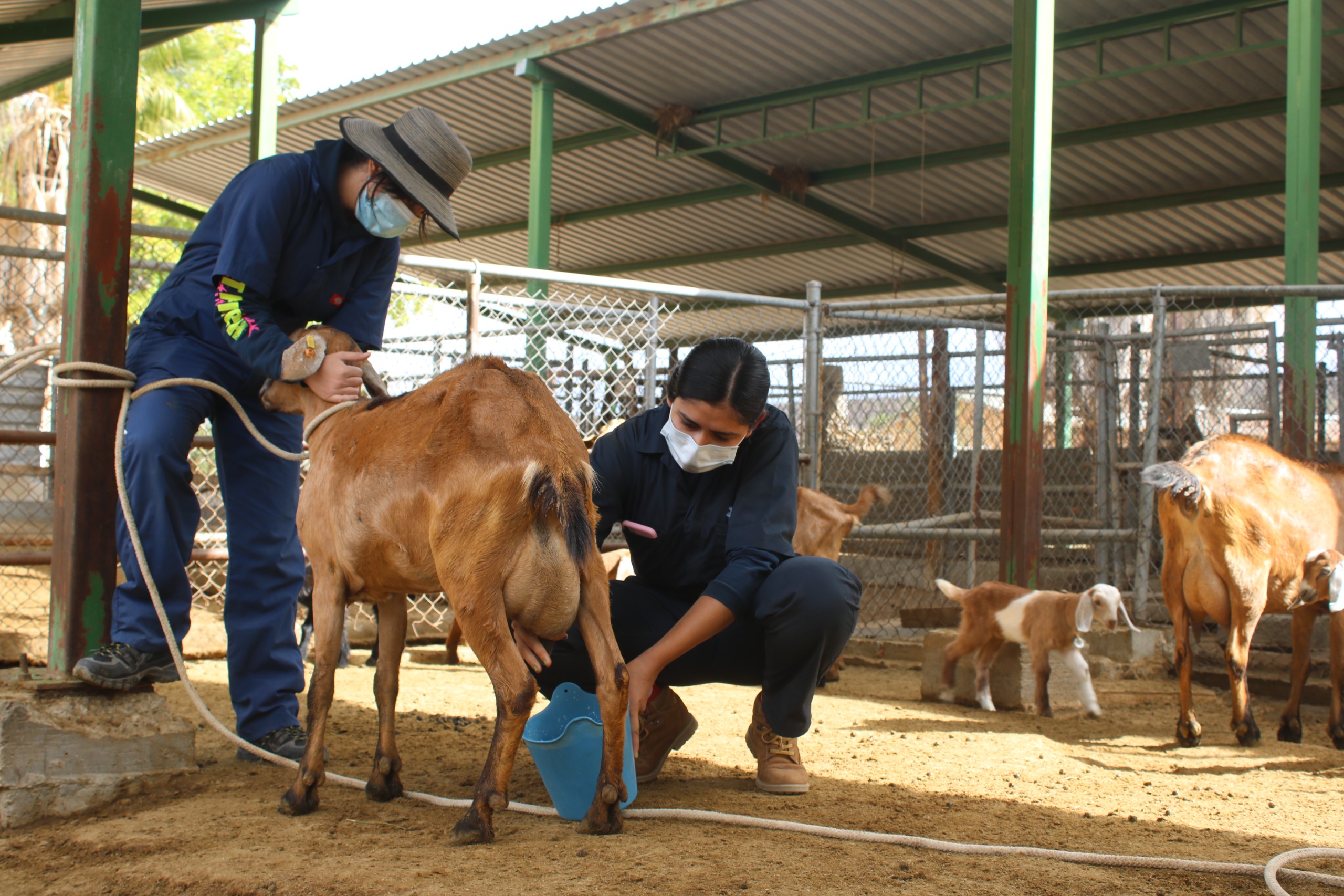 person capturing an image