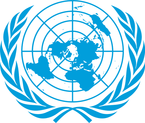 Logo de Organización de las Naciones Unidas